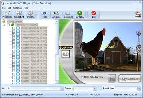 dvdXsoft DVD Ripper - Convert DVD to MPEG, AVI, MPEG-1, MPEG2, WMV, DivX, XVid, etc.
