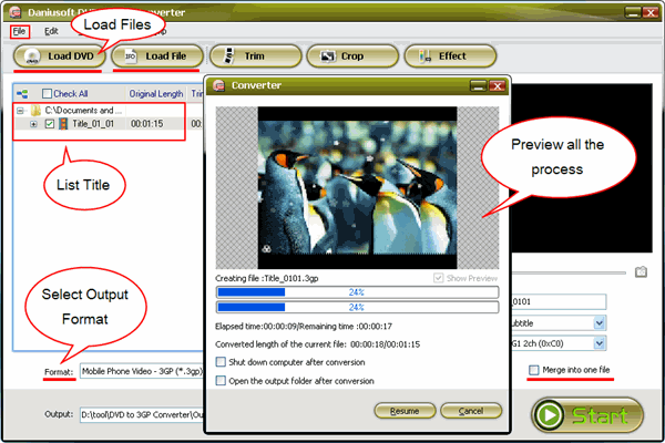 how to rip DVD and convert video to 3GP Video with DVD to 3GP Converter!